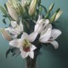 Lilium oriental, white