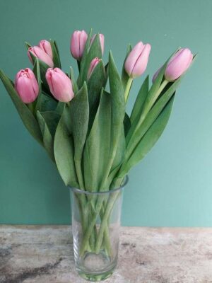 Pink tulips per piece