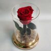 Red embalmed rose
