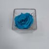 Blue embalmed rose in glass