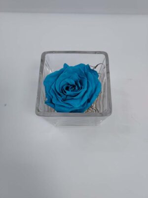 Μπλε βαλσαμωμένο τριαντάφυλλο σε γυαλί