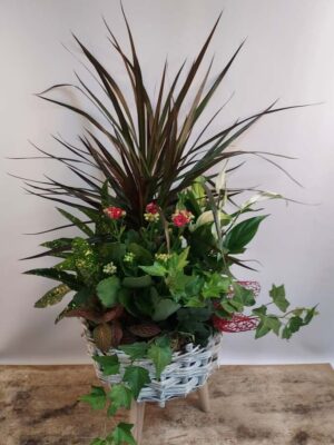 Modern basket with plants