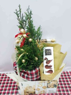 γιορτινό κουτί με Χριστουγεννιάτικο δεντράκι και υπέροχα Βελγικά σοκολατάκια
