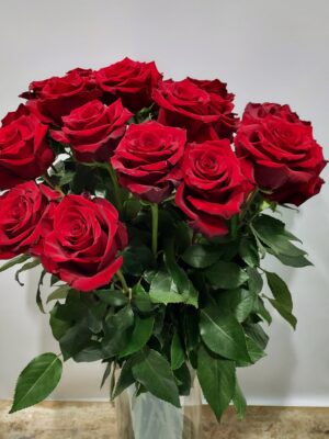 Beautiful red roses 70 cm high for your vase
