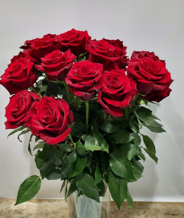 Υπέροχα κόκκινα τριαντάφυλλα 70 εκ.ύψος για το βάζο σας.