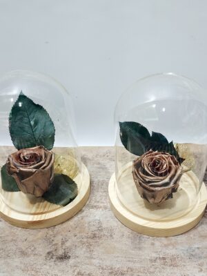 Roses ΄΄for ever” in golden color in a glass display case with a wooden base, per piece
