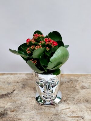 Luxurious looking silver ceramic face accompanied by the beloved Kalanchoe!