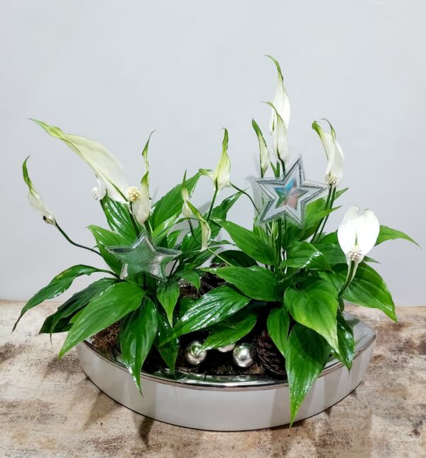 Μακρόστενο λευκό κεραμικό υψηλής αισθητικής,με φυτά εσωτερικού χώρου,μίνι σπαθίφυλλα
