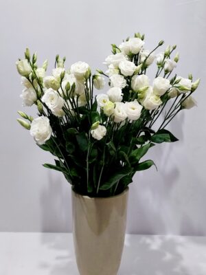 White lisianthus on a branch, height 70 cm.