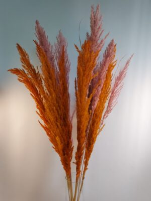 Dried flowers for decoration, per piece