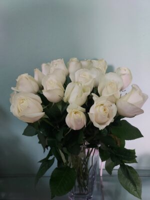 Fresh white roses 50 cm, variety “avalance”, per piece
