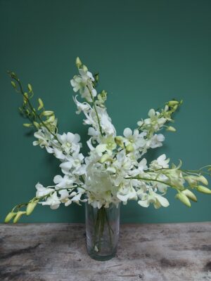Orchids of the Synkapouri type in white color, for a vase per piece