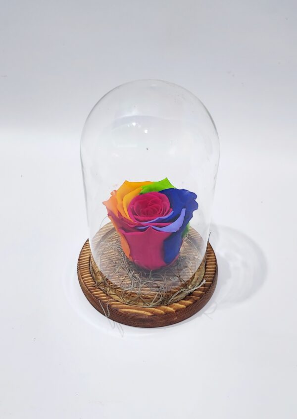 A very special dejuiced real rose in a 16×13 tall glass display case with a wooden stand