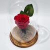 Μαύρο αποχυμωμενο αληθινό τριαντάφυλλο σε γυάλινη βιτρίνα 10χ15 σε ξύλινη βάση