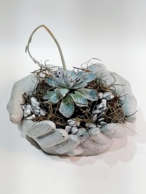 Ceramic caspo 2 hands with succulent plant