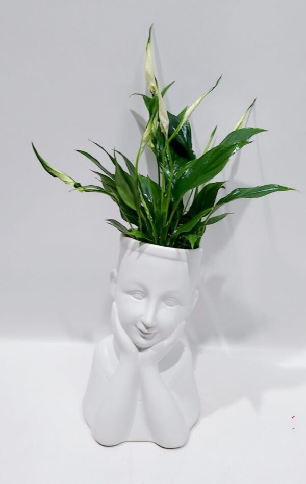 Λευκό κεραμικό αγόρι με φυτό εσωτερικού χώρου,διάσταση 19χ14 εκ.