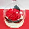 Εντυπωσιακή γυάλινη βιτρίνα με καρδούλα και ξύλινη βάση 17χ15 εκ.,περιέχει ξεχωριστό κόκκινο τριαντάφυλλο