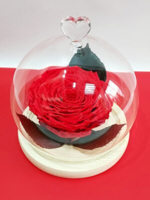 Εντυπωσιακό κόκκινο γίγας τριαντάφυλλο σε ιδιαίτερη γυάλινη βιτρίνα με καρδούλα στην κορυφή,17χ17εκ.