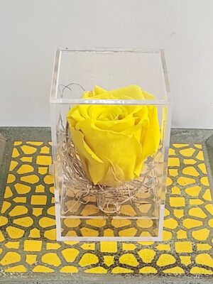 Αποχυμωμένο αληθινό τριαντάφυλλο σε κίτρινο χρώμα που δε χαλάει ποτέ
