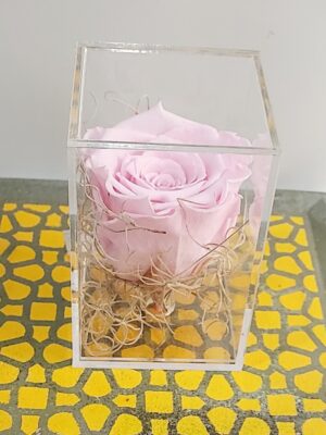 Εντυπωσιακό αποχυμωμένο αληθινό τριαντάφυλλο μέσα kύβο πλεξιγκλας